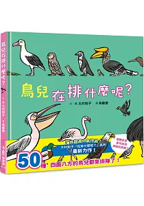 《鳥兒在排什麼呢?》封面