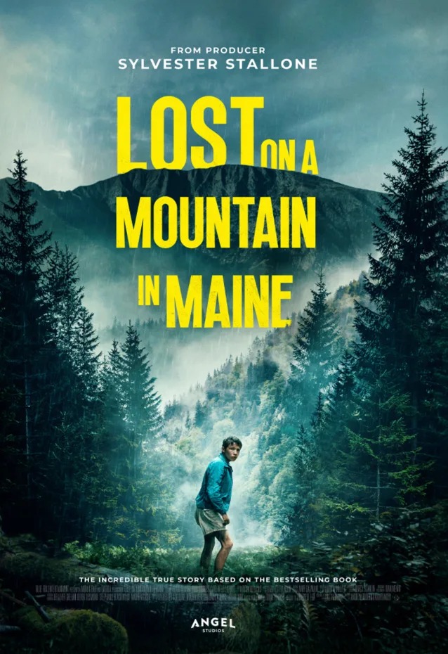 《征服山的少年 Lost on a Mountain》封面